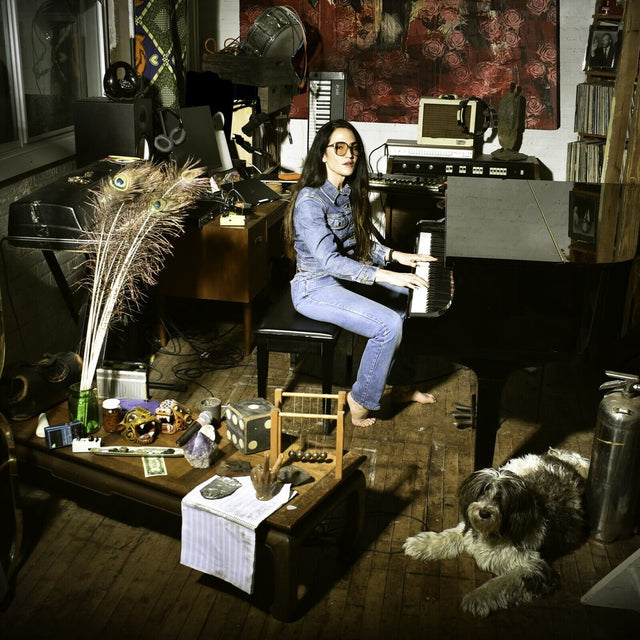 Person playing a piano in a room with various objects and a dog.