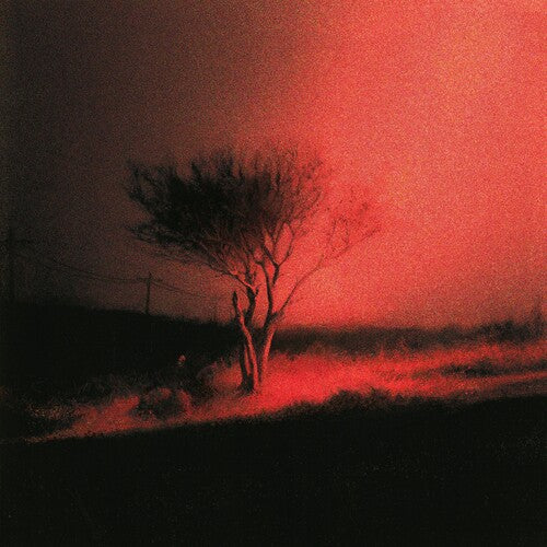 Tree silhouette against a red sky