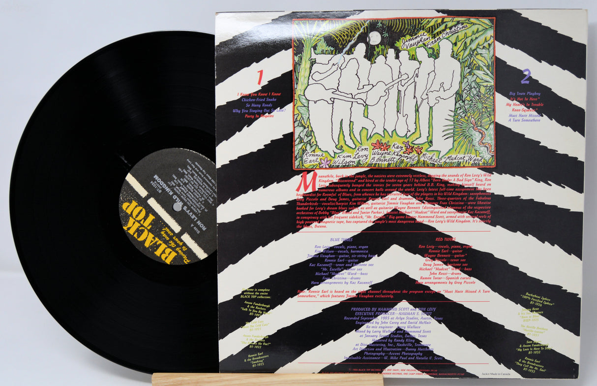 Vinyl record with colorful cover featuring artistic design and text.