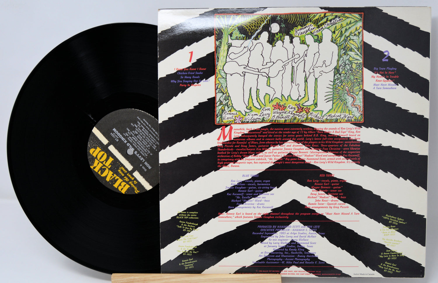 Vinyl record with colorful cover featuring artistic design and text.