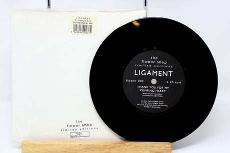 Ligament- Three Dimensional Pumping Heart