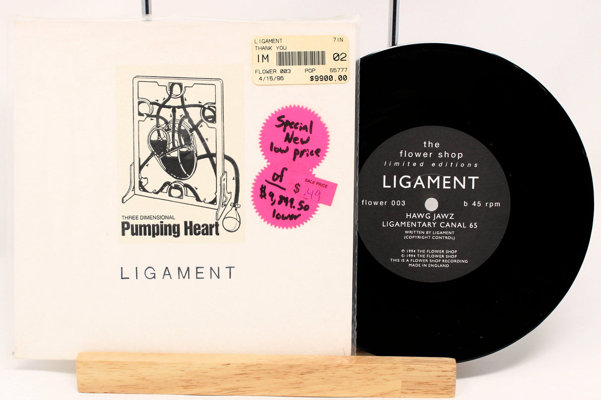 Ligament- Three Dimensional Pumping Heart