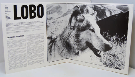 Lobo, Edu - Sergio Mendes Presents