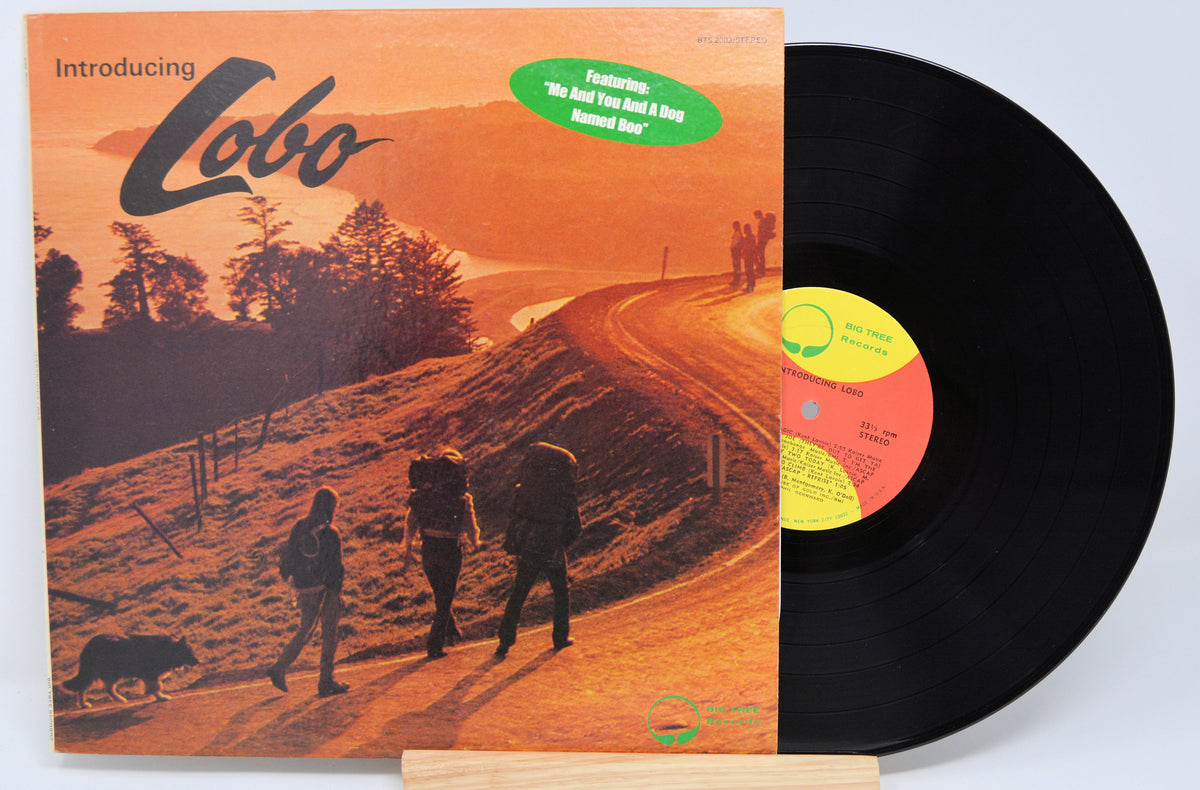 Vinyl record with orange cover featuring a scenic landscape and three people walking.