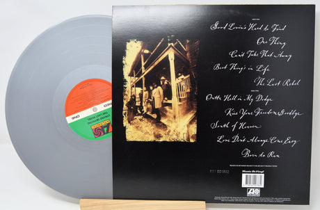 Lynyrd Skynyrd - Last Rebel