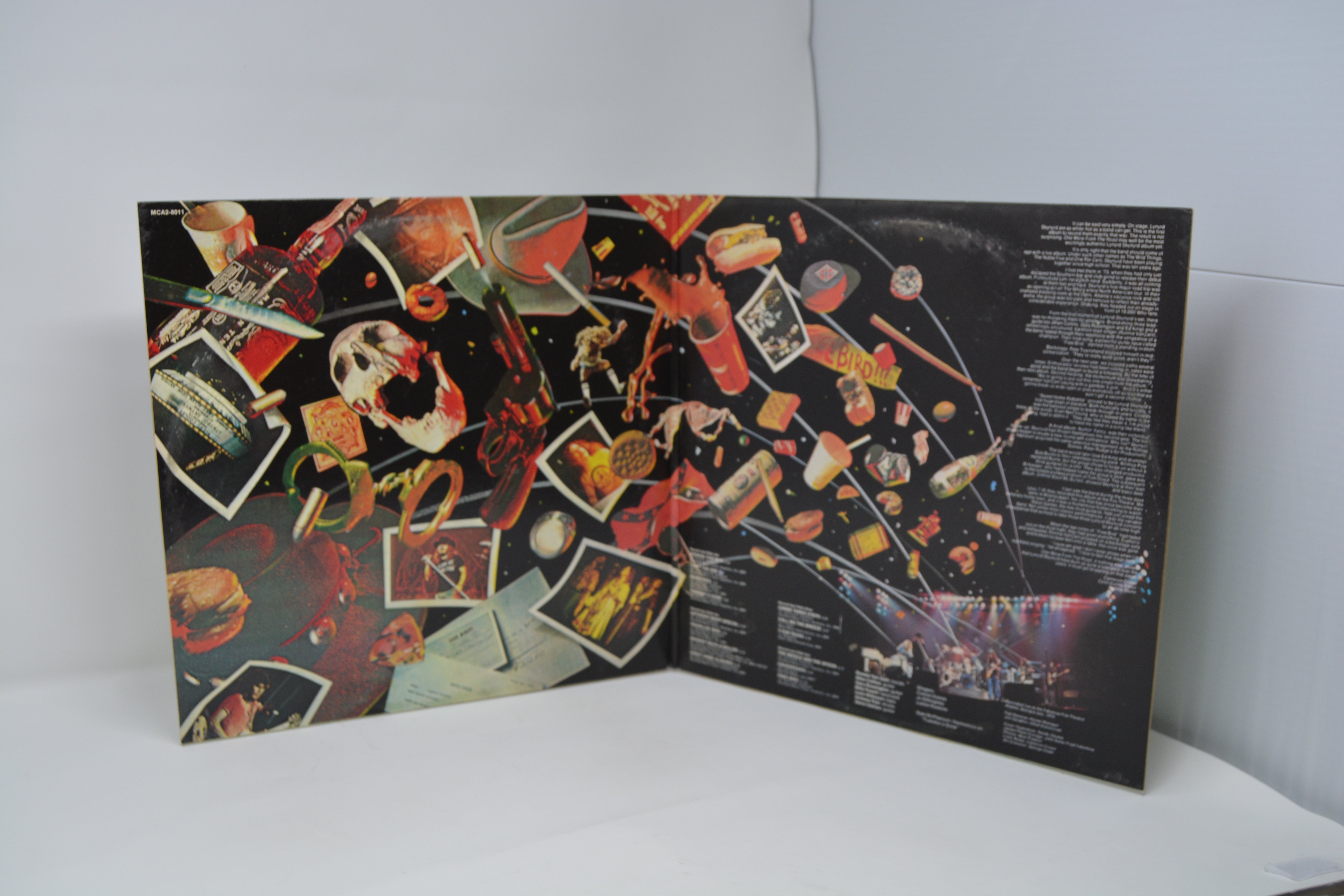Lynyrd Skynyrd - One More From The Road, Vinyl Record Album 2LP