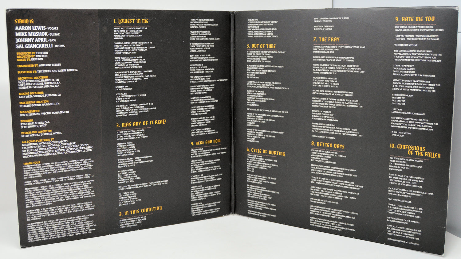 Staind Confessions of the Fallen vinyl LP gatefold with lyrics and credits