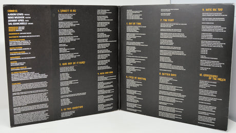 Staind Confessions of the Fallen vinyl LP gatefold with lyrics and credits