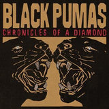 Black Pumas - Chronicles Of A Diamond