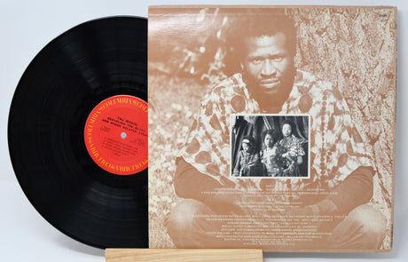 Mahal, Taj - Recycling The Blues