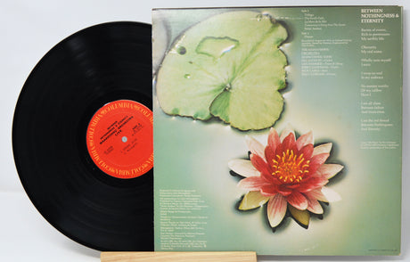 Mahavishnu Orchestra - Between Nothingness & Eternity