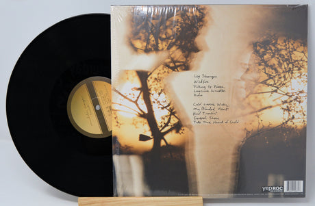 Mandolin Orange - Blindfaller