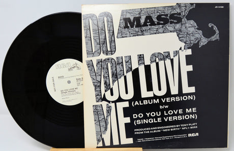 Vinyl record with 'Do You Love Me' album cover featuring text and graphics.