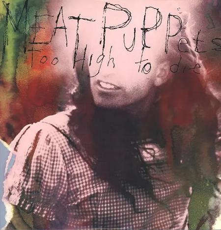 Close-up of Meat Puppets Too High to Die album art featuring painted portrait