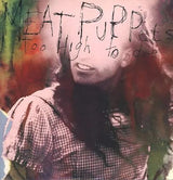 Close-up of Meat Puppets Too High to Die album art featuring painted portrait