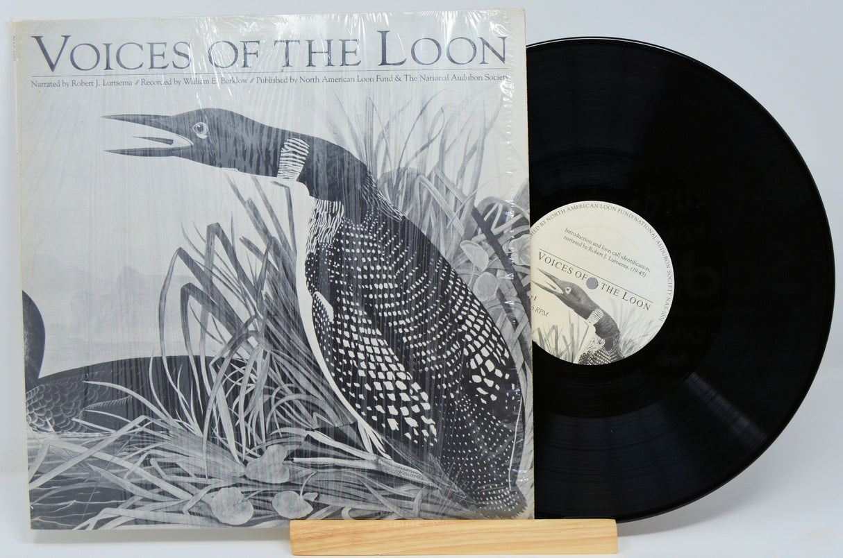 Miscellaneous - Voices of The Loon
