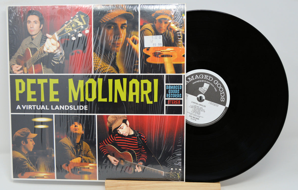 Molinari, Pete - A Virtual Landslide