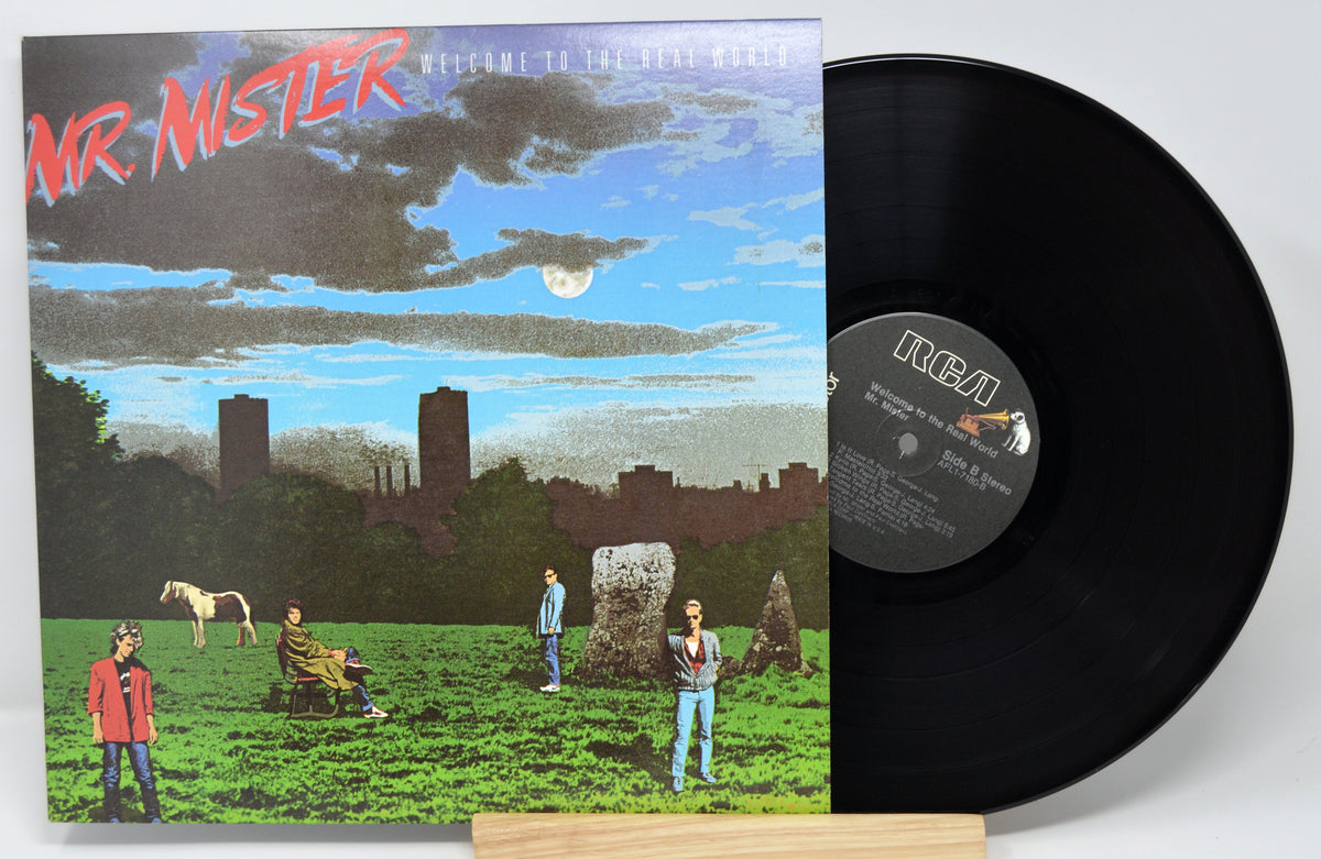 Vinyl record with cover featuring a group of people in a field and a horse.