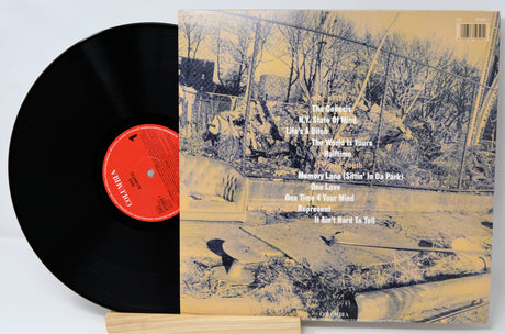 Vinyl back cover features a fence on the cover of Nas Illmatic