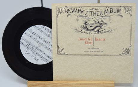 Native Nod - New Compositions And Arrangements For The Zither