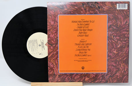 Nitty Gritty Dirt Band - Workin' Band