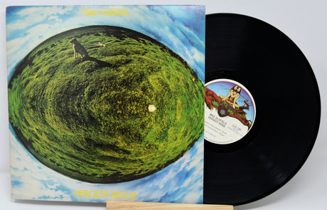 Vinyl record with a colorful cover featuring a landscape and a black record on a white background