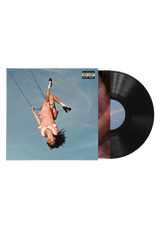 Vinyl record with a cover featuring an image of a person on a swing against a blue sky.
