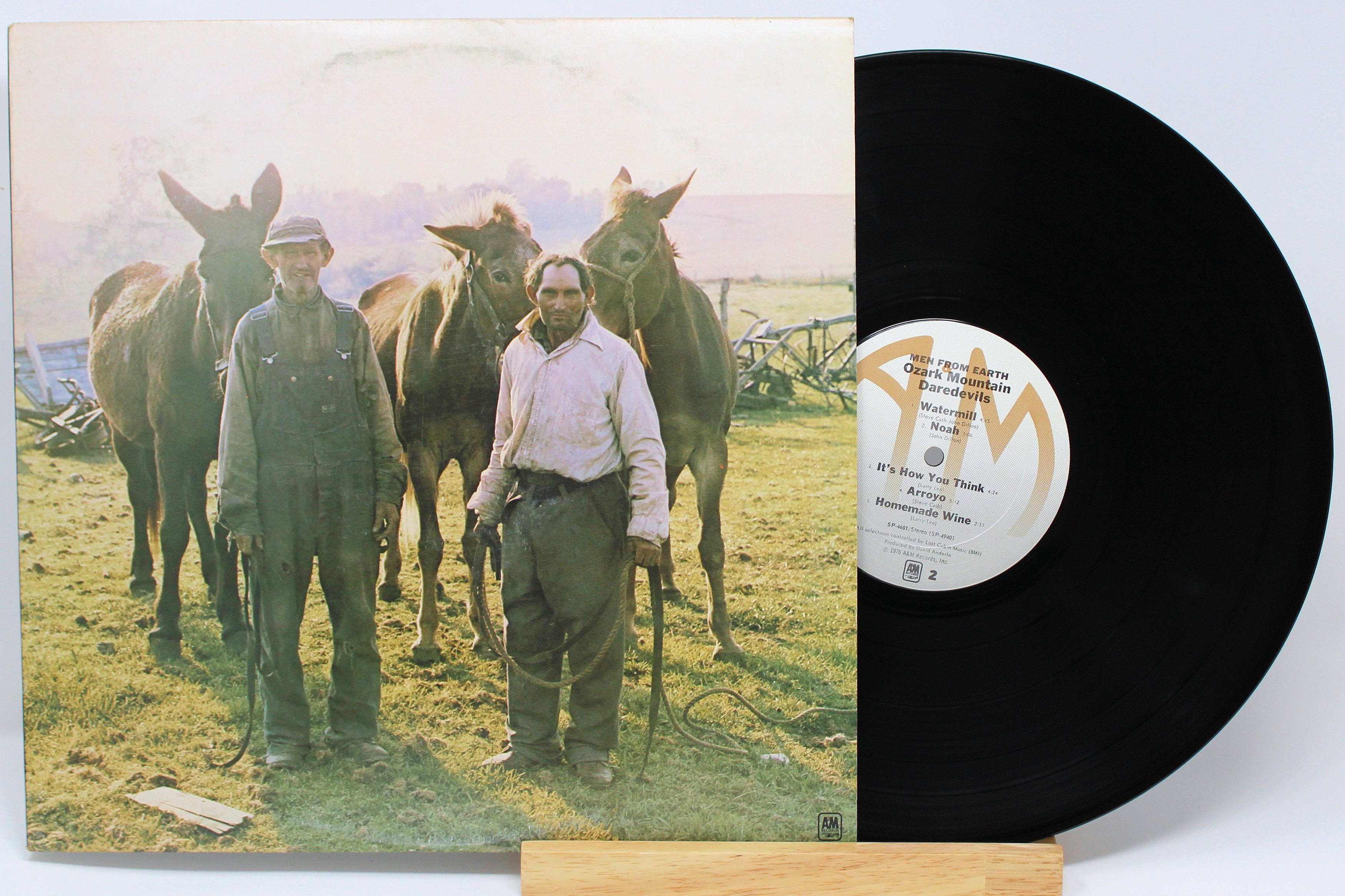 Ozark-Mountain-Daredevils-Men-