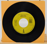 Palmer, Robert - Addicted To Love