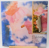 Vinyl record cover with a fairy design and text on a blue background