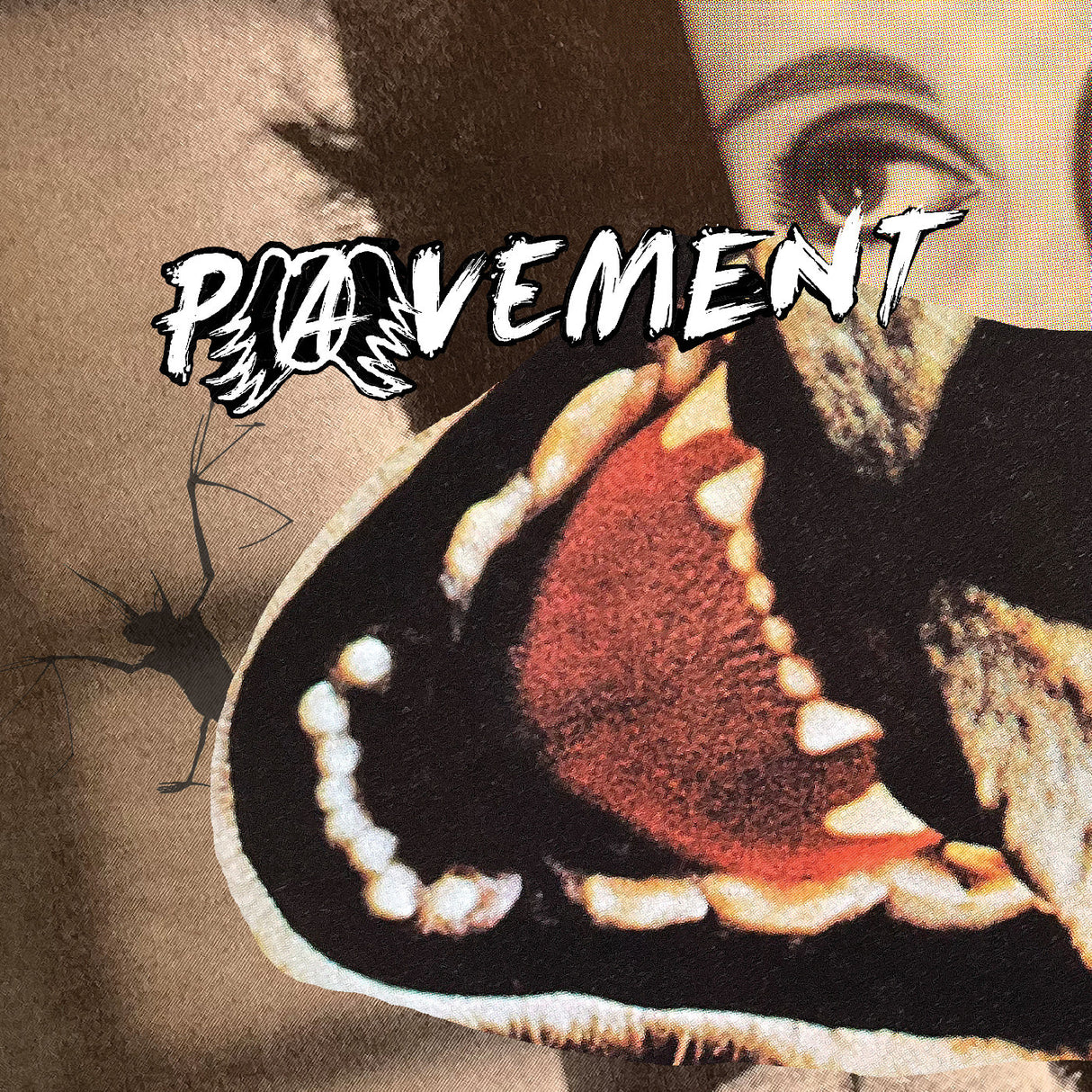 Butterfly wing with 'Pavement' text overlay on a textured background