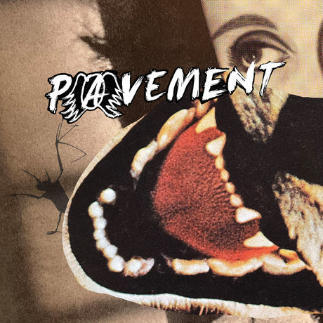 Butterfly wing with 'Pavement' text overlay on a textured background