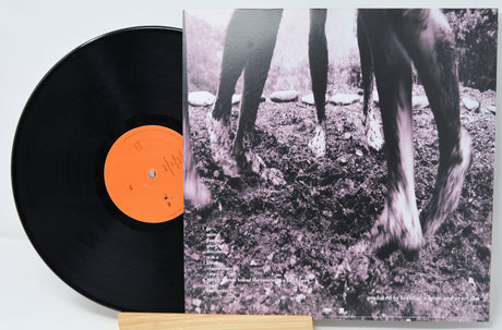 Pearl Jam - VS