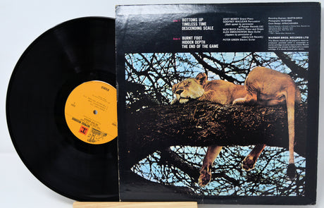 Vinyl record with a lioness on the cover against a tree branch background
