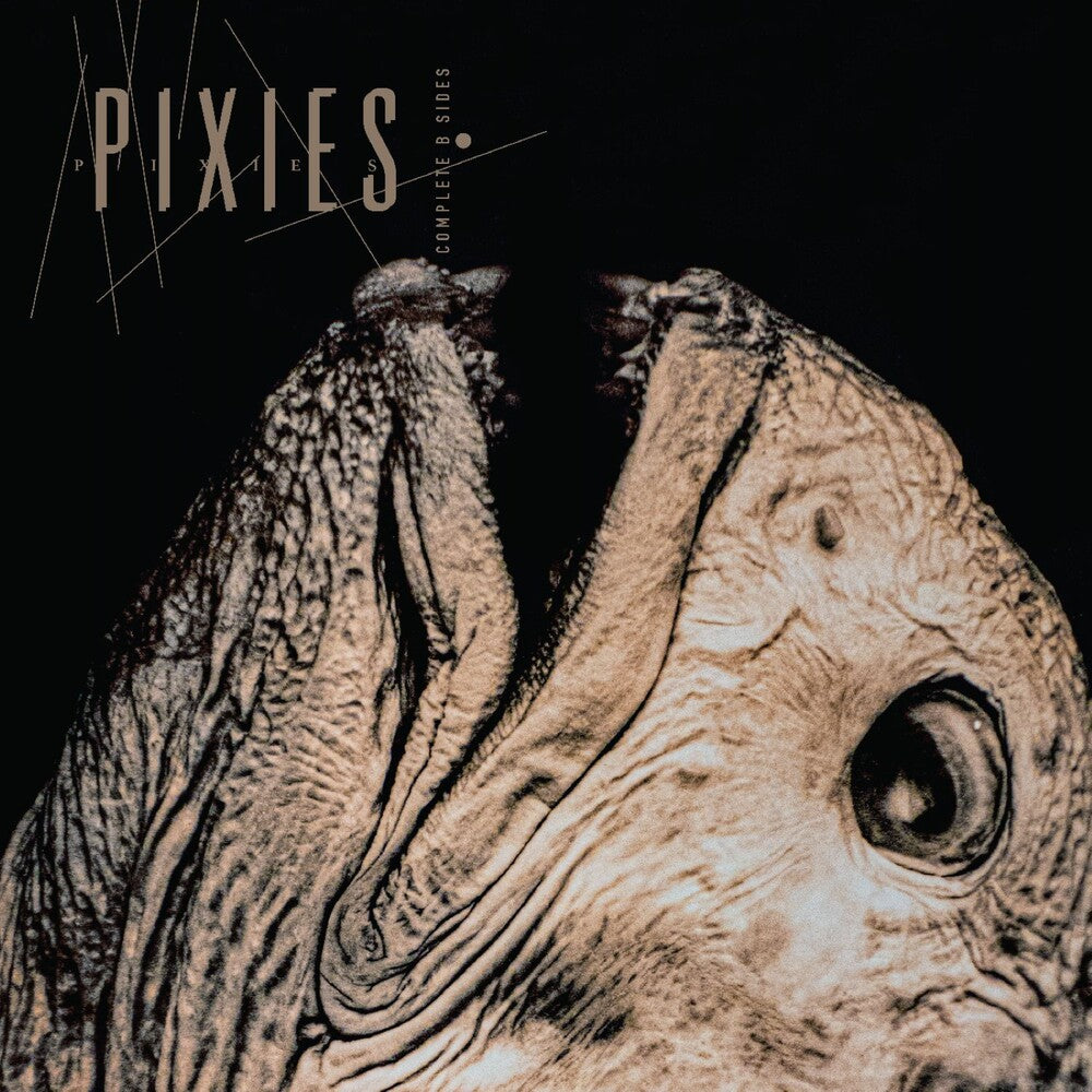 Album cover with a fish head and 'Pixies' text on a dark background