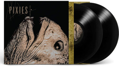 Vinyl record set with a cover featuring an insect-like creature illustration, branded 'Pixies'.