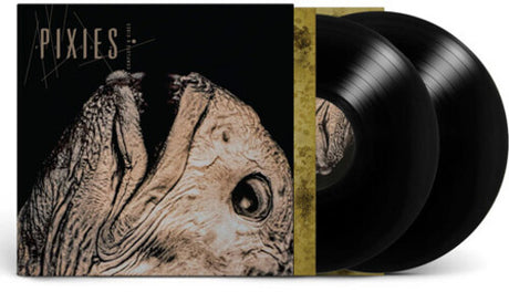 Vinyl record set with a cover featuring an insect-like creature illustration, branded 'Pixies'.