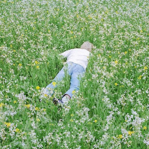 Person lying face down in a field of wildflowers