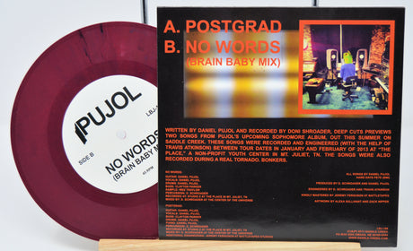Vinyl record with maroon disc and black cover featuring text and a small image of a room.