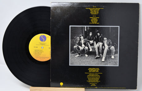 Ramones - Road To Ruin