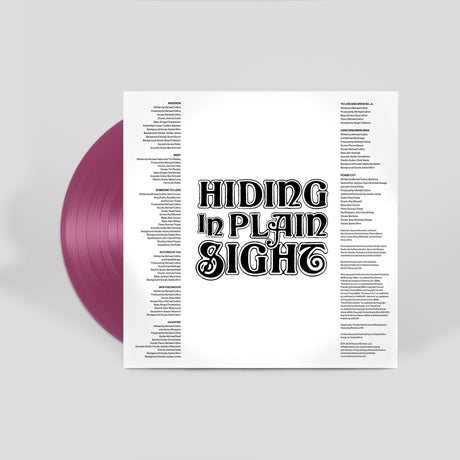 Drugdealer - Hiding In Plain Sight