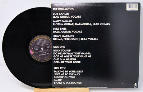 Romantics, The - In Heat