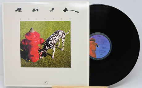 A vinyl record partially pulled from its sleeve, showing the album cover artwork and the black record disc on a light background.