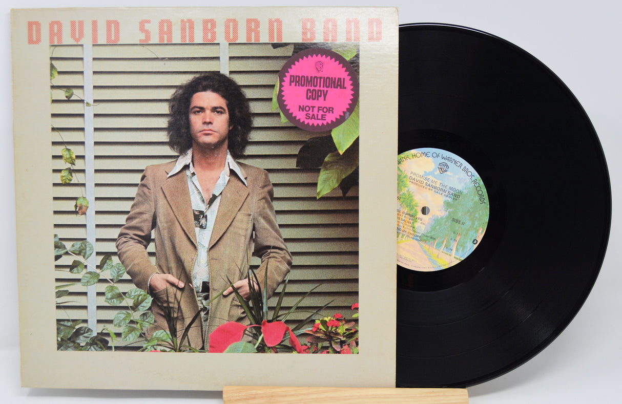 Sanborn, David - Promise Me The Moon