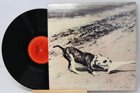 Snow, Phoebe - Never Letting Go