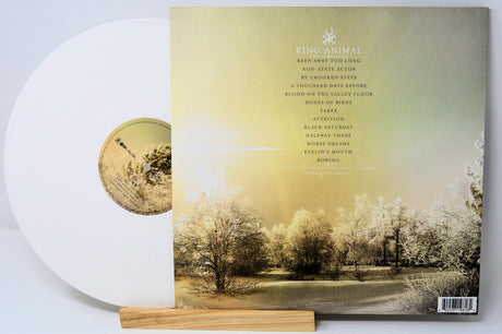 Soundgarden - King Animal