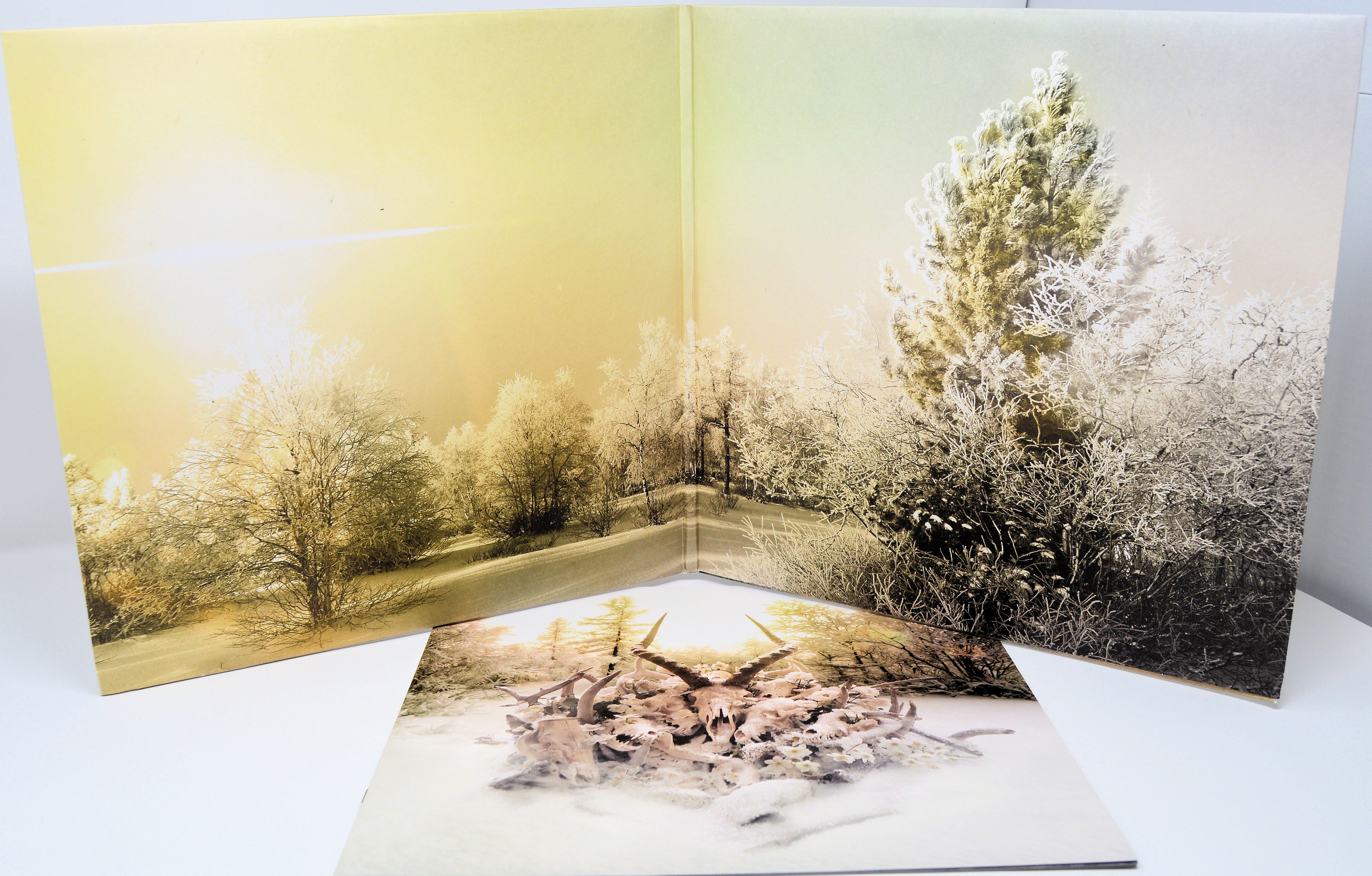 米2LP Soundgarden King Animal B001771701 Universal Republic R 未開封 /00660 King Animal Colored 2LP – Soundgarden Store