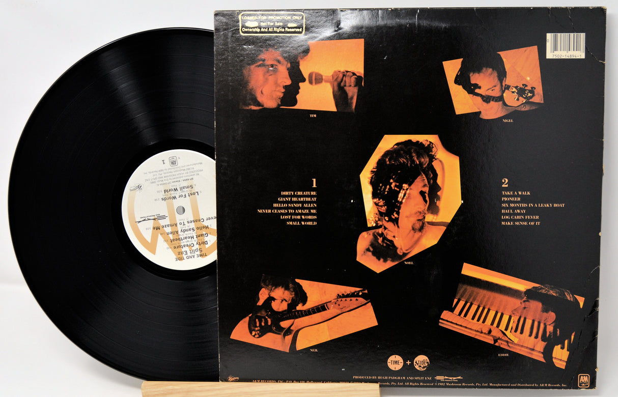 Vinyl record with matching cover featuring artistic illustrations on a white background