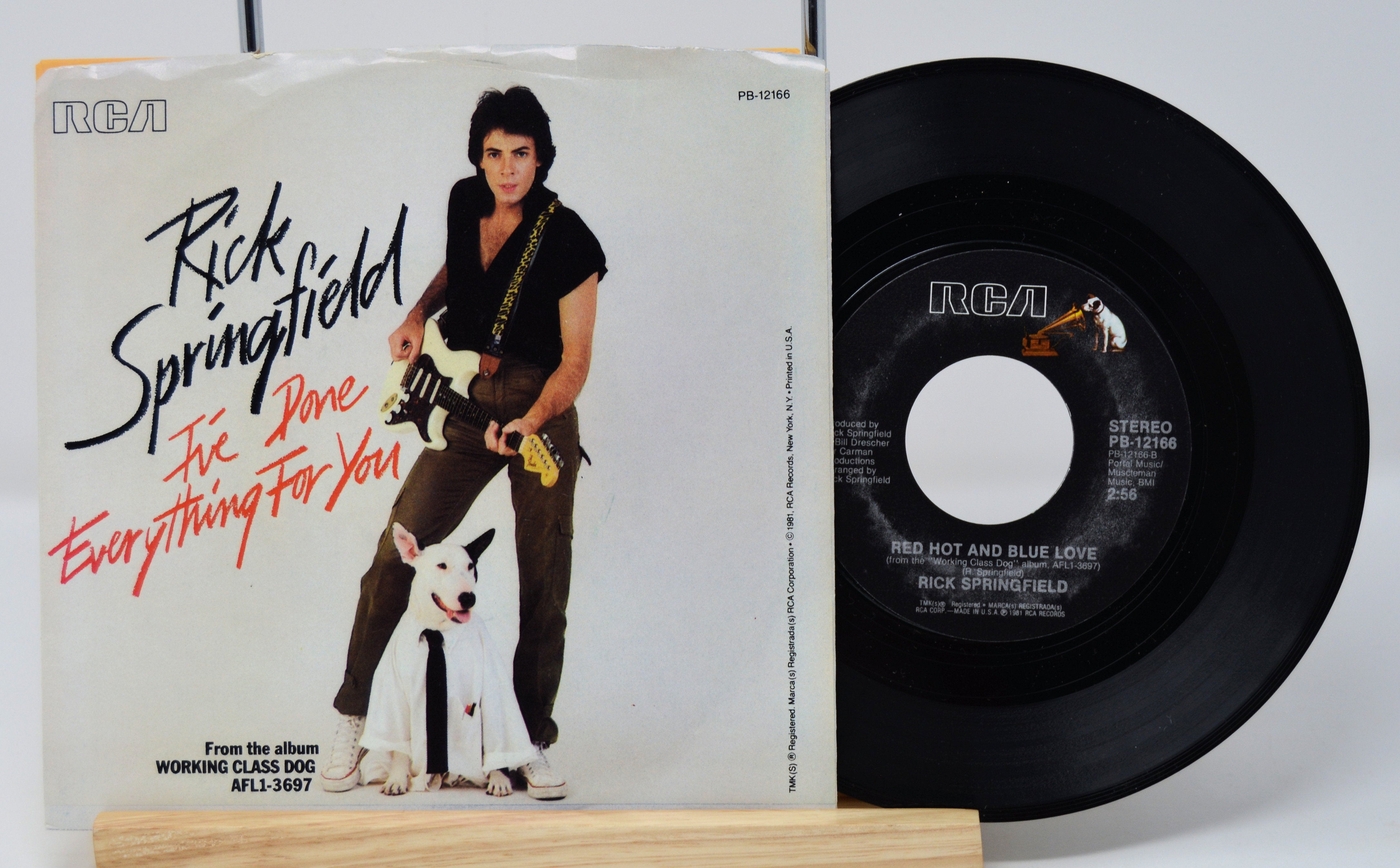 Springfield, Rick - I've Done Everything For You – Joe's Albums