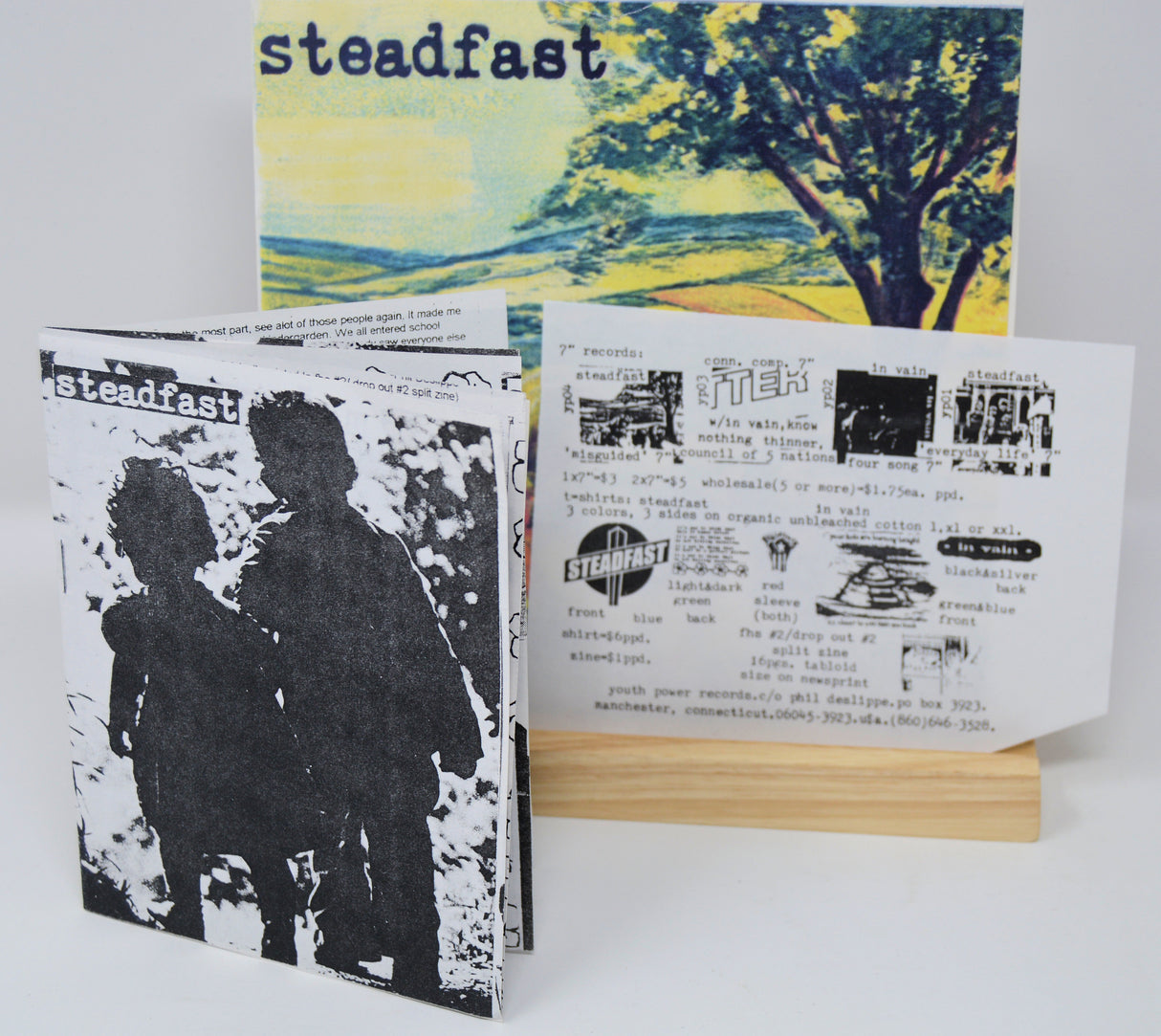 Steadfast - Misguided